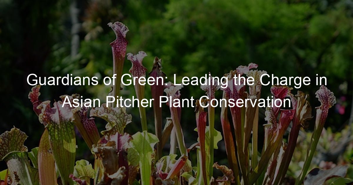 Guardians of Green: Leading the Charge in Asian Pitcher Plant ...