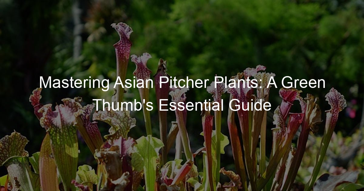 Mastering Asian Pitcher Plants: A Green Thumb's Essential Guide ...